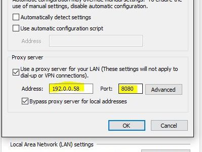 Opera manual proxy config tips