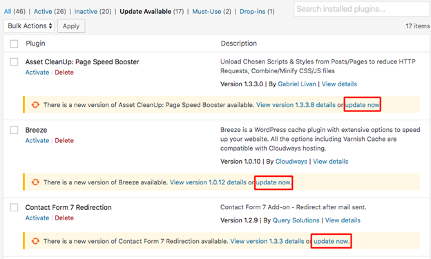the importance of WordPress updates