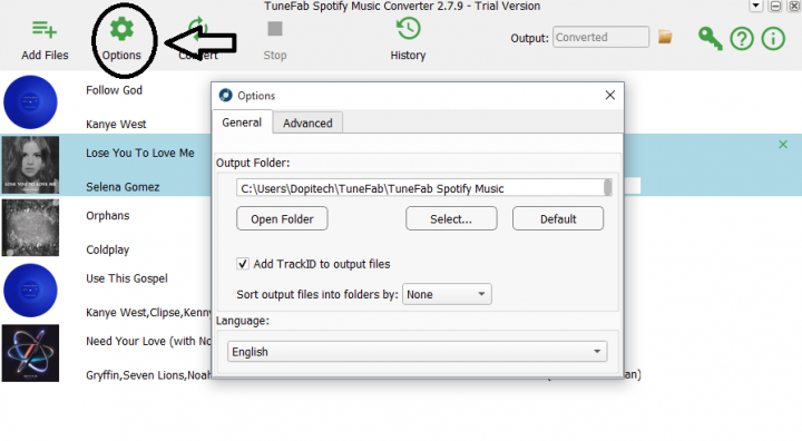 TuneFab settings