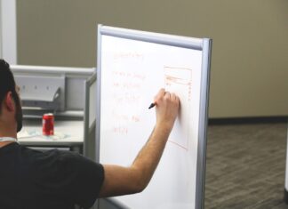 project management for startups