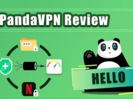 PandaVPN Review