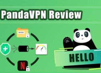 PandaVPN Review