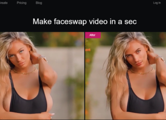 deepswap review 2022
