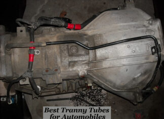 the best Tranny Tubes