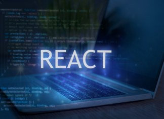 ReactJS development