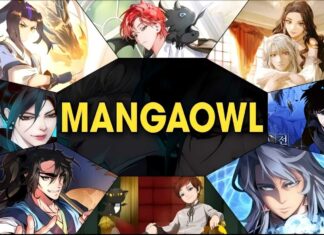 Mangaowl Review
