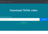 Best TikTok Downloader App for Phone and PC