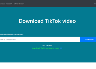 Best TikTok Downloader App for Phone and PC