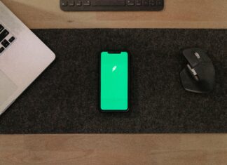 Investing in SaaS