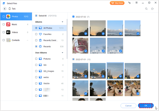 preview and select the files
