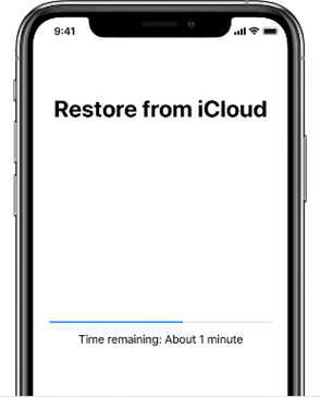 Choose the most recent backup and proceed