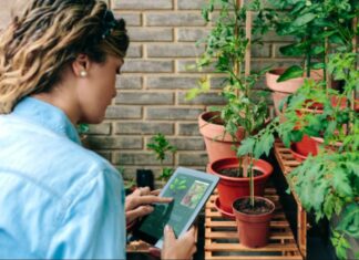 The Definitive Guide to Plant Care Applications