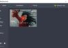 Best Disney Plus Video Downloaders of 2024