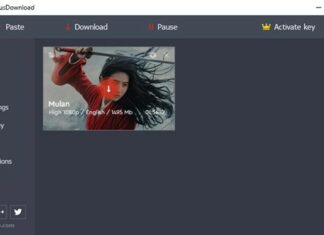 Best Disney Plus Video Downloaders of 2024