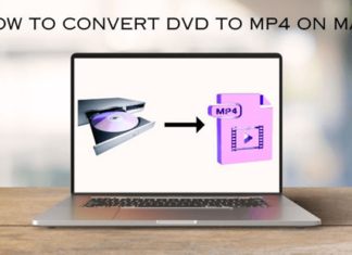 How to Convert DVD to MP4 on Mac