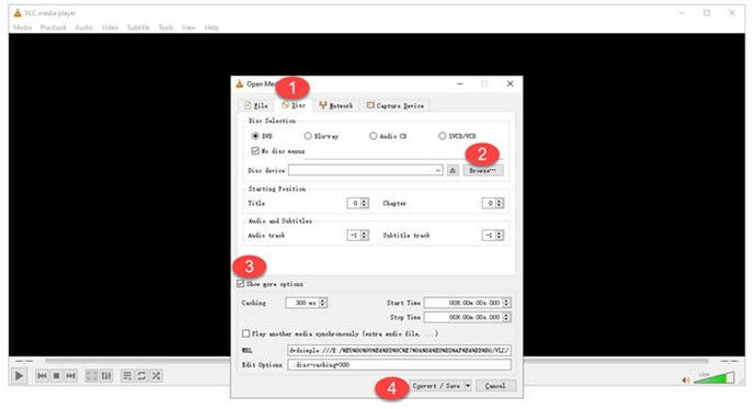 tap "Convert" to convert the DVD to MP4