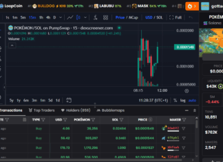 Top 7 Ways To Trade MemeCoins on Solana and BNB Chain DEX Screener