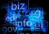 Managing Your Domain Portfolio