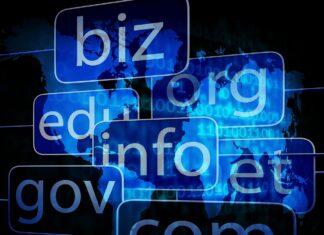 Five Best Practices for Managing Your Domain Portfolio Managing Your Domain Portfolio