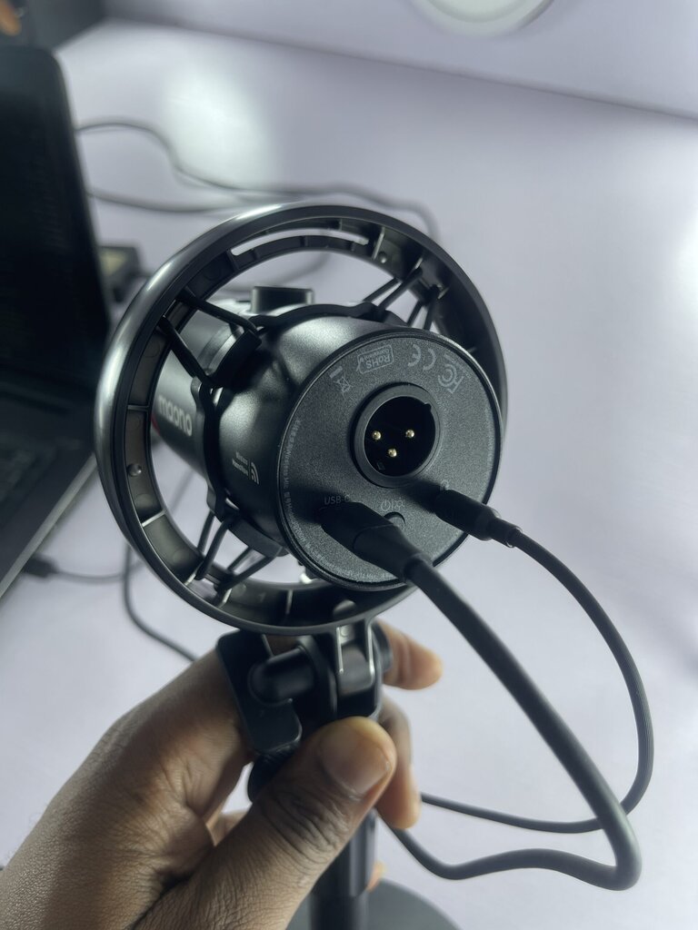 PD200W mic