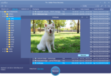 Why Small Cameras Still Create Large Data Risks? Why Small Cameras Still Create Large Data Risks