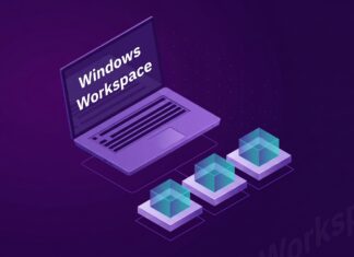 How to Build a Windows Workspace for Secure Access From Any Device? Windows Workspace Review
