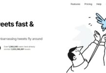 6 Ways TweetDeleter Users Are Handling X Cleanup This Fall TweetDeleter website