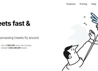 6 Ways TweetDeleter Users Are Handling X Cleanup This Fall TweetDeleter website
