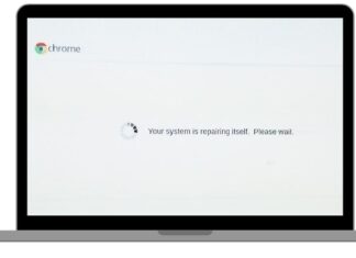Your System Is Repairing Itself, Please Wait on Chromebooks