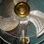 Nikon Coolpix L29 shutter speed