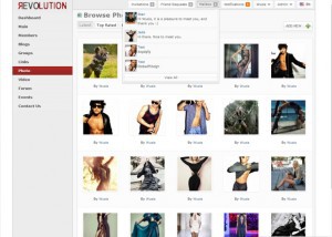 Oxwall Themes: Top 7 Oxwall Templates that really rocks